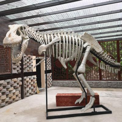 China Customized Realistic Artificial Large Original Waterproof Customized Life Size Dinosaur Skeleton For Museume for sale