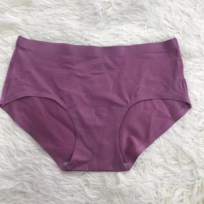 China Manufacturer Best-selling Antibacterial Girl's Underwear Seamless Nylon Panties Invisible Women's Breathable Panties for sale