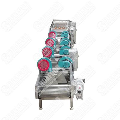 China Farm Lemon Washing Machine Lemon Washing And Drying Machine Vegetable Washing Machine Manufacturer for sale