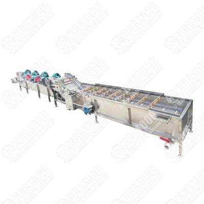 China Commercial Chili Drying Machine Chili Processing Machine Salad Processing Machine for sale