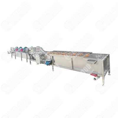 China Commercial Fruit And Vegetable Processing Machinery Vegetable Dehydrating Processing Line Line For The Production Of Dried Fruit for sale