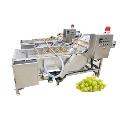 China Fruit And Vegetable Production Line Cutting Washing Drying Frozen Line Salad Processing Line for sale