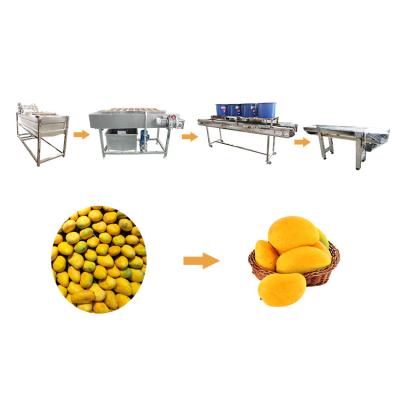 China Hot selling 20t/h Leaves Cutting Clean And Drying Equipment by Huafood for sale