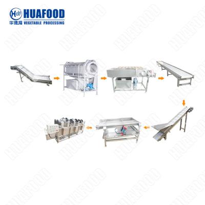 China Pre-soaking Washing And Cleaning Machine Broccoli Sprout Washing Machine Dates Washing Machine for sale