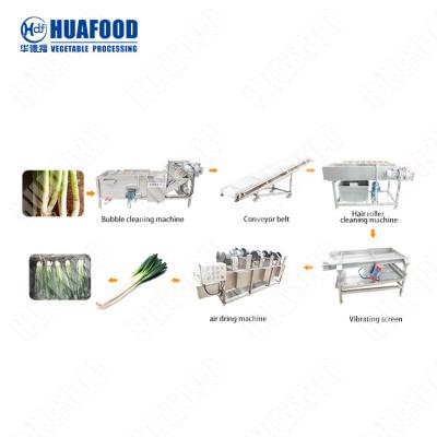 China Strawberry Washing Drying Machine Price Commercial Food Washing Machine Tomatoes Washing Line for sale