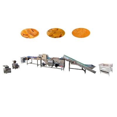 China Venezuelan Ginger Powder Machine Buyers Sharpening Machine for sale