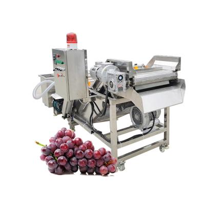 China wheat/sesame/rice/bean washing and dryer machine|seeds washer and drying machine|sesame seed washing machine for sale