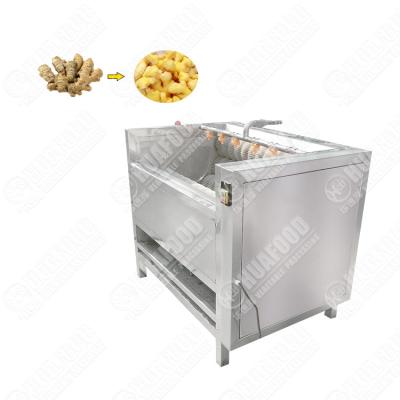 China Long Service Life Potato Taro Brush Roll Washing And Peeling Machine Vegetable Potato Carrot Washing Machine With CE Certificate for sale