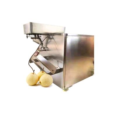 China Automatic Fruit Skin Peeler Yellow Peach Apple Lemon Orange Persimmon Peeling Machine for sale