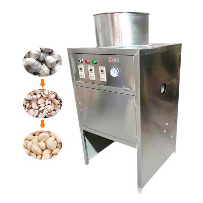 China garlic clove making machine peeling garlic in egypt for sale