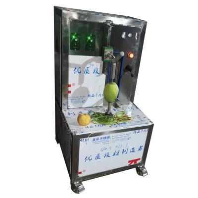 China Industrial Passion Fruit Peeling Machine Passion Fruit Juice Machine for sale