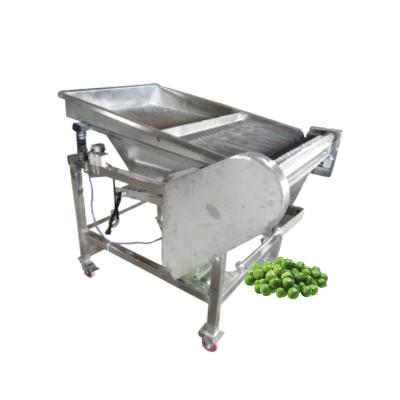 China Commercial Fruit Vegetable Processing Equipment Pea Sheller Machine for sale