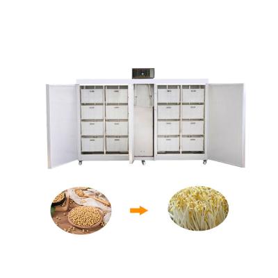 China Commercial booty sprout machine/sprout growing machine for sale