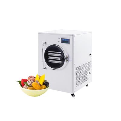 China freeze dryer thailand home-freeze-dryer home food freeze dryer for sale