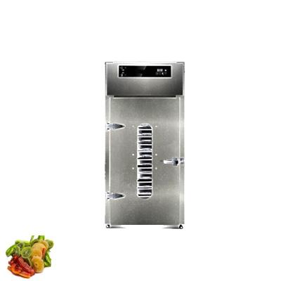 China Hot Sale Good Quality Dried Fruit Machine Home Freeze Drying Machine / Food Freeze Dryer / Mini Freeze Dryer for sale