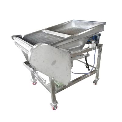 China stainless steel pea bean peeling machine green bean edamame bean peeling machine for sale