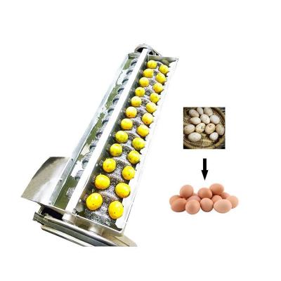 China Farm hen egg cleaner equipment duck egg washing machine egg cleaning machine for sale