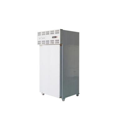 China Low Price Liquid Nitrogen Blast Freezer Air Blast Freezer Room With Great Price for sale