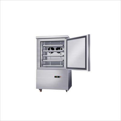 China Food Grade Blast Freezer For Fish And Lobster Deep Freezer With Great Price for sale