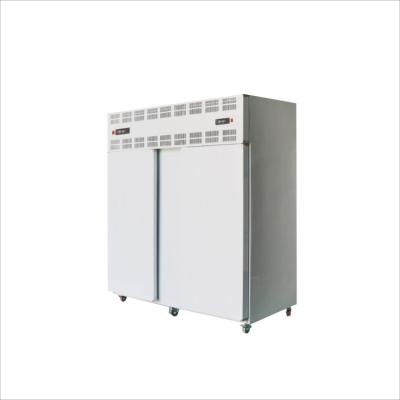 China Customizable Double Door Blast Freezer Shelf Plate Freezer With Low Price for sale