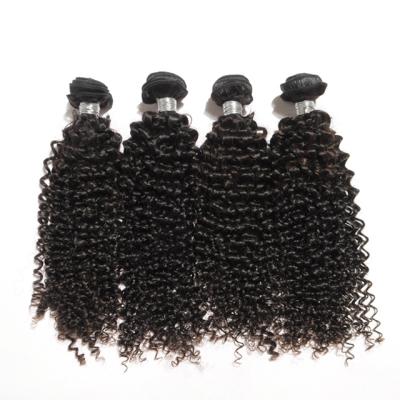 China 100% Human Hair Queue Remy Remy Human Hair Brazilian Cheap Kinky Curly Human Hair Afro Kinky Deep Horse Hair Weave for sale