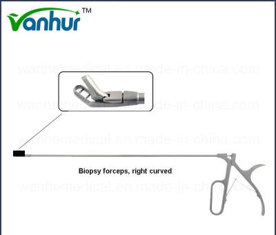 China Steel Sigmoidoscope and Rectoscopy Instruments Right Curved Biopsy Forceps OEM Acceptable for sale