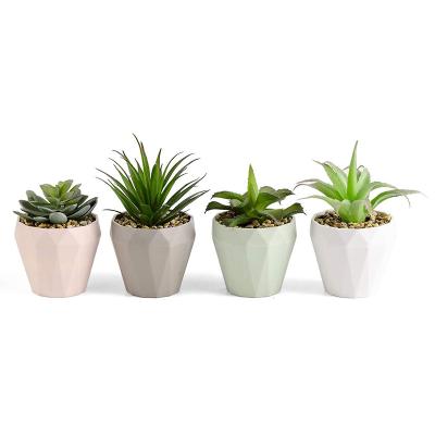 China Minimalist PRIMAISON Green Succulents Indoor &Outdoor Small Plants Plastic Plant Decorative Faux Succulent Potted Artificial Succulents for sale