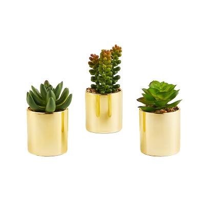 China Minimalist PRIMAISON Small Artificial Succulents Plants Set With Pot Gold Decorative Faux Plastic Plants Indoor And Outdoor Decoration for sale