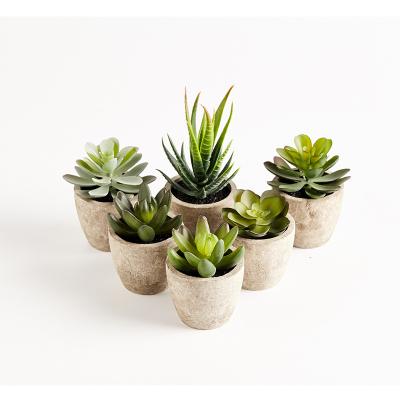 China Minimalist PRIMAISON DIY Green Artificial Succulents Small Potted Plants Set Decorative Faux Succulent Plastic Plant Indoor &Outdoor for sale