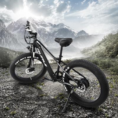 China 48V 500W Travel Beach Fat Tire Bike 48V 14.5Ah Lithium Battery Electric Snow Bike 500W Electric Mountain Bike for sale