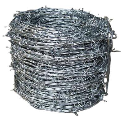 China Protective Mesh Hot Sale Barbed Wire Electro Galvanized Hot Dip Galvanized for sale