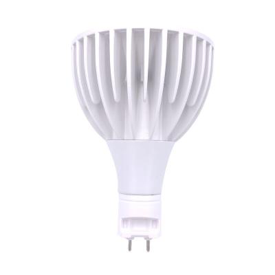 China Sky Factory Par30 Light COB 20W G12 Residential High Lumens PAR30 Dimmable 110-130V/220-240V Led Spotlight Lamp for sale