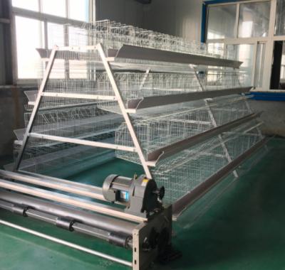 China Automatic Farms Poultry Farm Equipment Design Layer Chicken Cage for sale