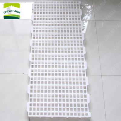 China Chicken Duck Poultry Chicken Farm Plastic Mesh Floor for sale