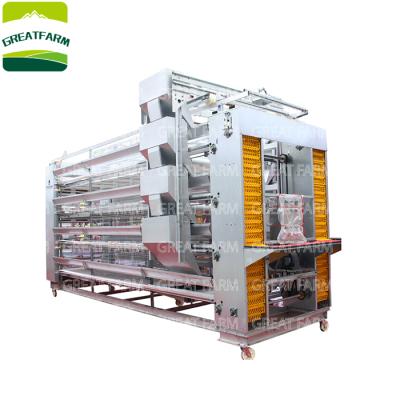 China Durable / Working Poultry Egg Collection System Egg Collecting System Egg Collecting Automation Poultry Farming Equipment for sale