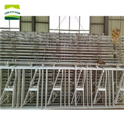 China BIG Farms FARM Cattle Farm Equipment Cattle and Cow Fence Galvanized Cattle Force Collar for sale