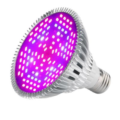 China Seed Starting Seed Work 2021 New Products Full Spectrum 8W 10W 30W 50W 80W Indoor Led Table Lamp Factory Grow LED Light for sale