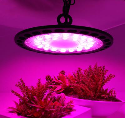 China Seed Starting Seed Starting 2021 Popular UFO 150w Led Grow Light With 660nm Red High Efficiency Indoor for sale