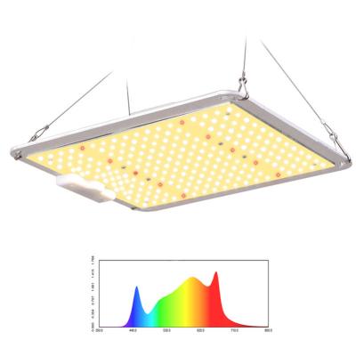 China HONGMAO 110w LM301H LM301B Panel Spectrum King Tent Kit LED Seed Starting Seed Grow Light Indoor Plant for sale