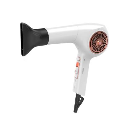 China Salon 1800w Professional Hair Dryer Ionic Professional Hair Dryer for sale