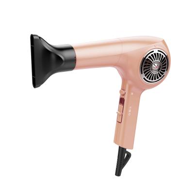 China Salon Ionic Professional Hair Dryer With Long Length 1800w Ionic Blow Leafless Dryer Bldc Professional Brushless Motor for sale