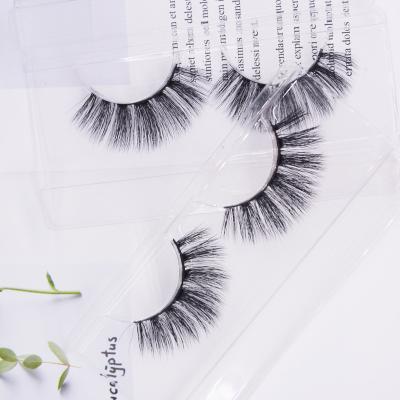 China Rodan Natural Long Eyelash Offer Personalized Sweep Amplify Extensions Korean With Ribbon Square Rose Boxes for sale