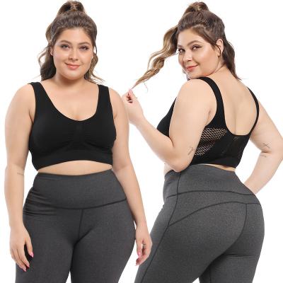 China Logo Color Firm Breathable Custom Quick Dry Support Bottom Plus Size Sports Yoga Sweat Moisture Wikcing Breathable Bras Big Bust for sale