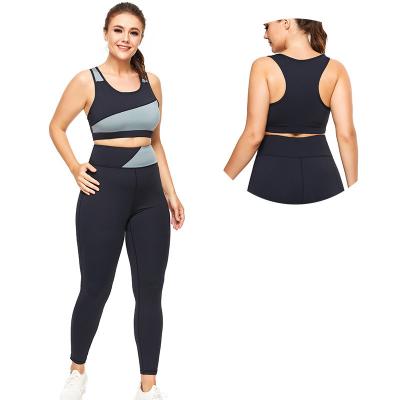 China Wholesale Breathable Plus Size Yoga Equipment Sports Wear Bra And Gaiters Two Piece Set for sale