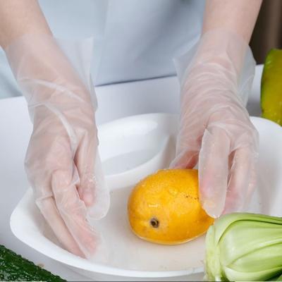 China Hot Selling Safe Transparent Disposable Gloves Elastic Food Household Kitchen Strip Disposable Gloves For Cleaning for sale