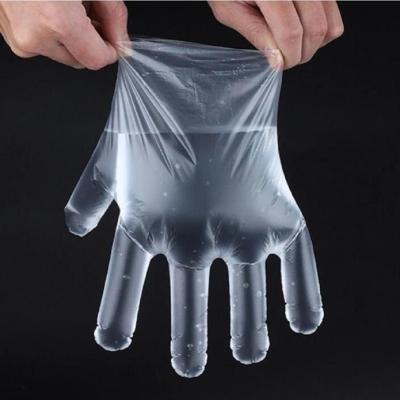 China Plastic BBQ Kitchen Gloves Disposable Food Fruit Vegetable Eco-friendly Gloves Cleaning Accessories Or Restaurant Dining Beauty for sale