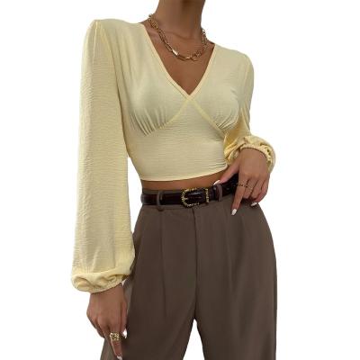 China hot sale Anti-wrinkle shirts for women sleeve long fall shirts women fashion shirt for sale