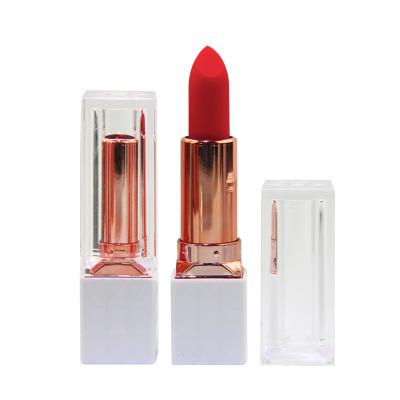 China Hot White Lipstick Tube Lip Gloss Lip Sticks Lipstick Waterproof Lipstick Private Label for sale