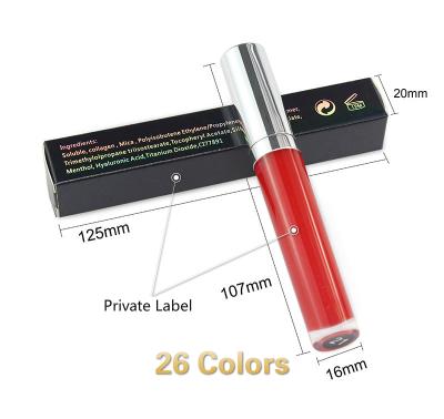 China Waterproof 26 Colors Private Label Glitter Lip Gloss Lip Gloss Vendor for sale