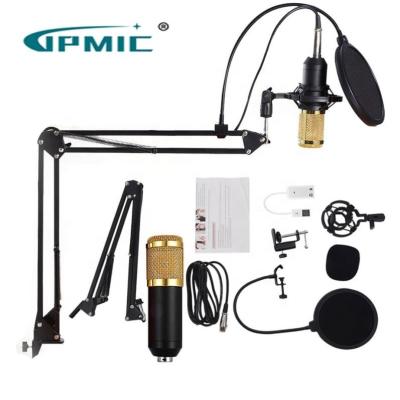 China Brand New Handheld Microphone Voice Switch Microphone With High Quality for sale